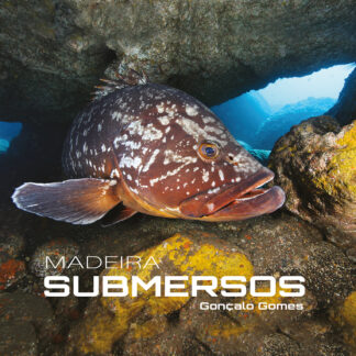 Madeira Submersos